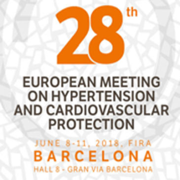 Working group hypertension and brain-european society of hypertension (wgh&b-esh)